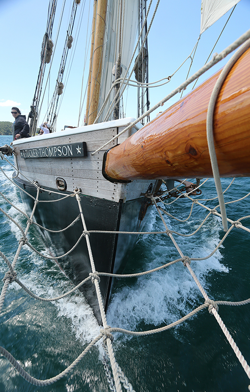 Sail on the R Tucker Thompson, Bay of Islands, NZ